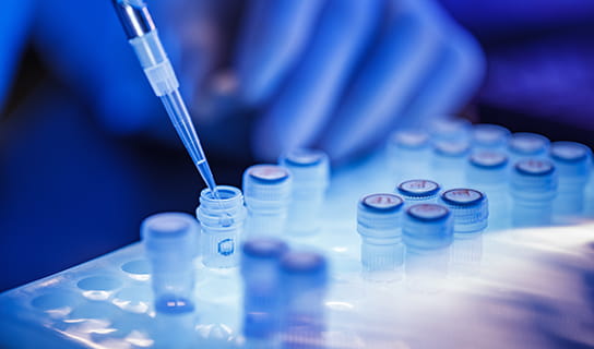 Close-up of small tubes being filled with liquid in a lab.